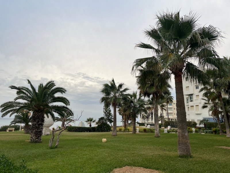 Appartement S+2, pied dans l’eau - Photo 11