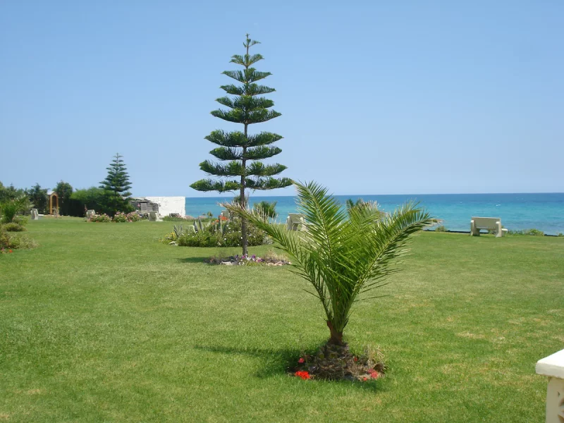 B&B Cote D'azur , Vôtre vacance au bord de la mer - Photo 31