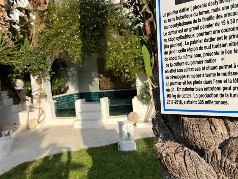 bungalow de charme en pleine nature - Photo 31