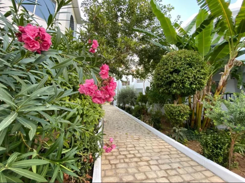 Hammamet Zina - Photo 19