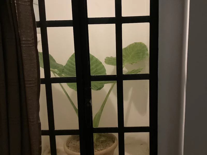 Maison de fleur 1 - Photo 9