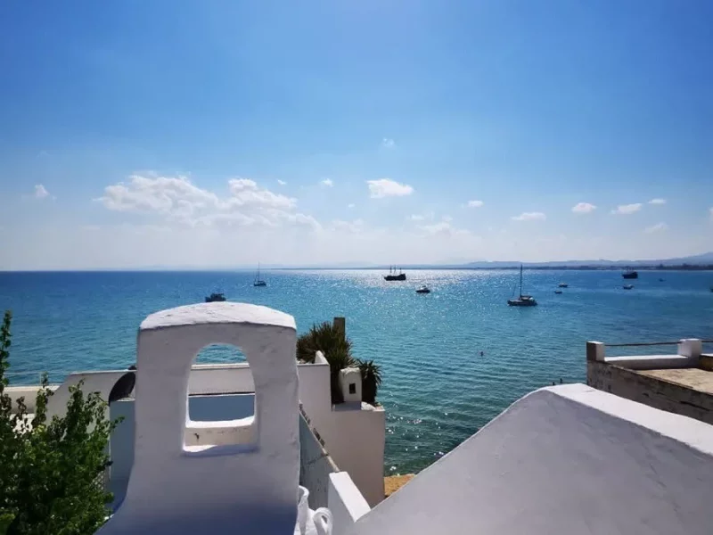 Maison Les Cyprès (DarEsarwel) - Photo 5