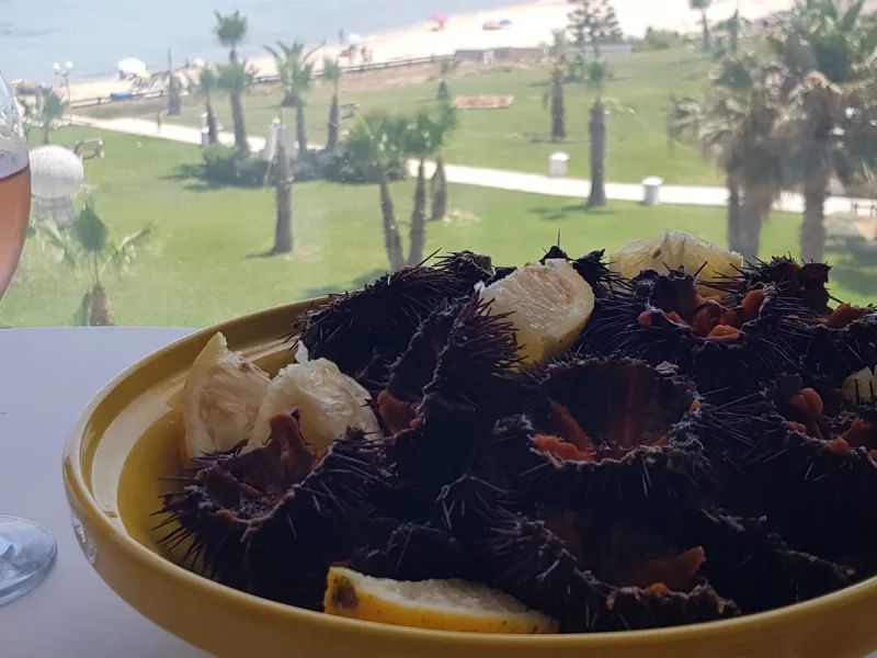 Pieds dans l eau, centre ville hammamet- nord - Photo 12