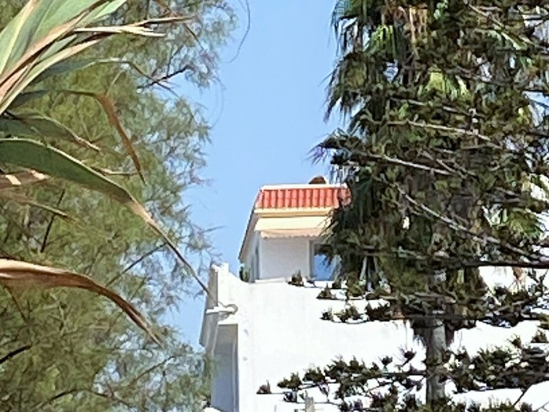 Roof Top Pied dans l'eau Vue panoramique Hammamet - Photo 28