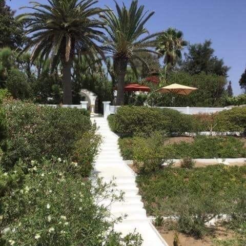 Villa la Brise Du Golf hammamet havre de paix - Photo 23