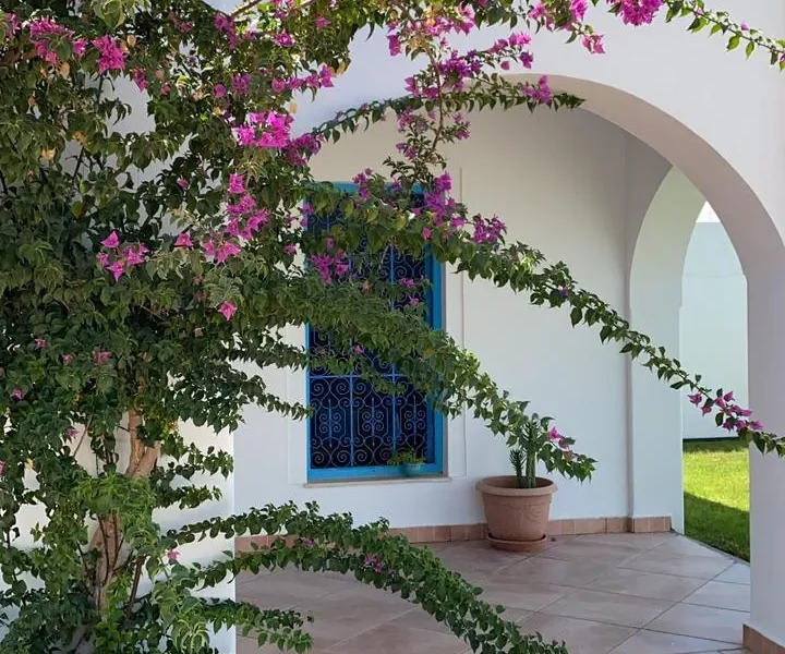 Dar Ryma - Photo 20