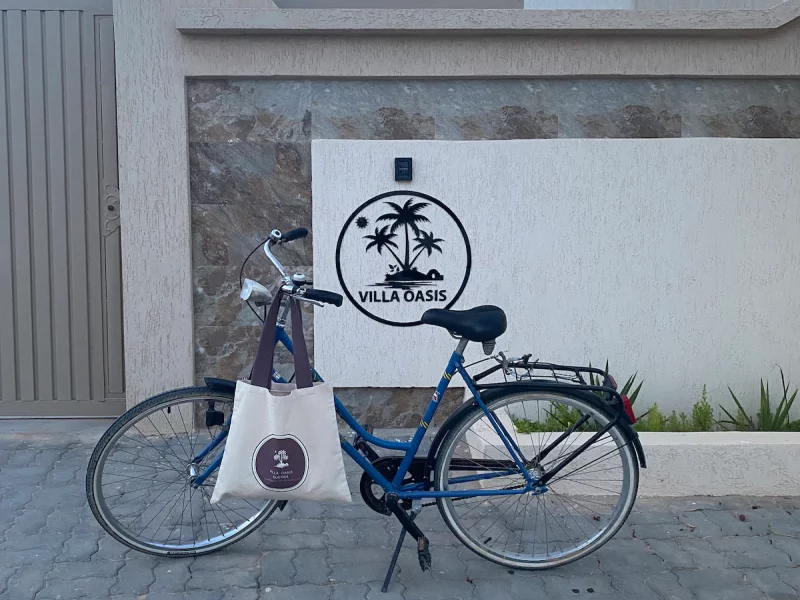 villa azur djerba - Photo 42