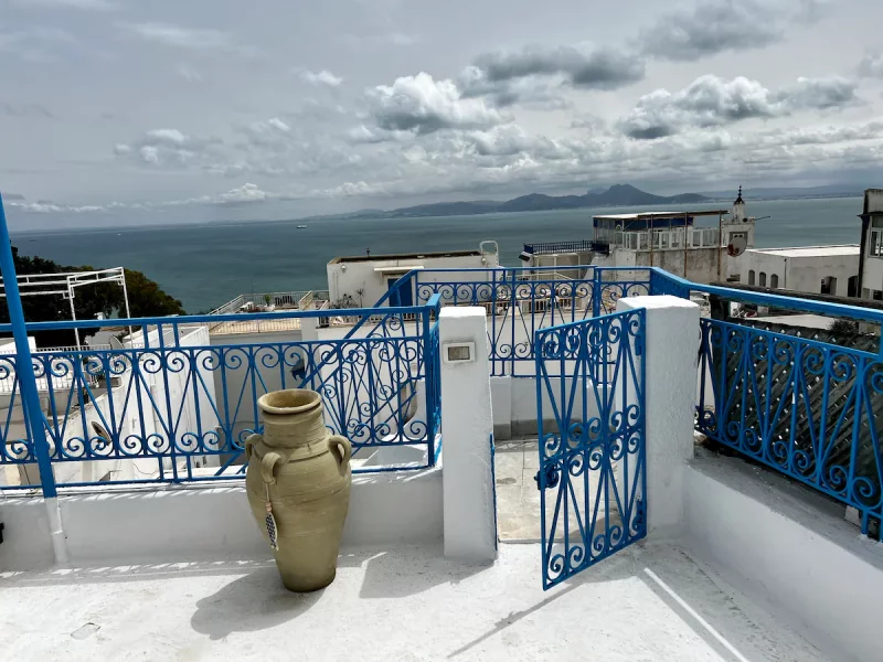 Le luxe rencontre la tradition à Sidi Bou Said (toit-terrasse) - Photo 20