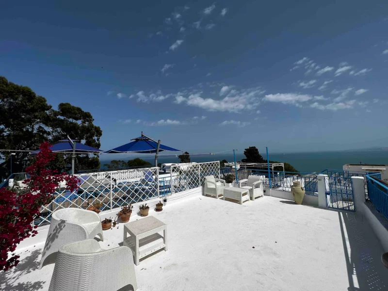 Le luxe rencontre la tradition à Sidi Bou Said (toit-terrasse) - Photo 21