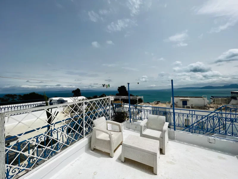 Le luxe rencontre la tradition à Sidi Bou Said (toit-terrasse) - Photo 23