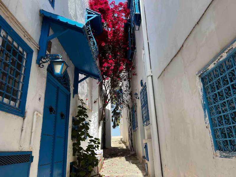 Le luxe rencontre la tradition à Sidi Bou Said (toit-terrasse) - Photo 25
