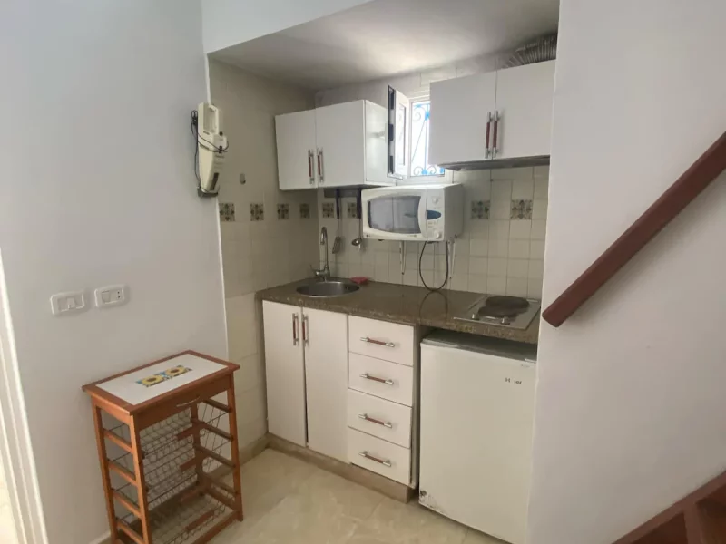 Magnifique S+1 - Photo 2