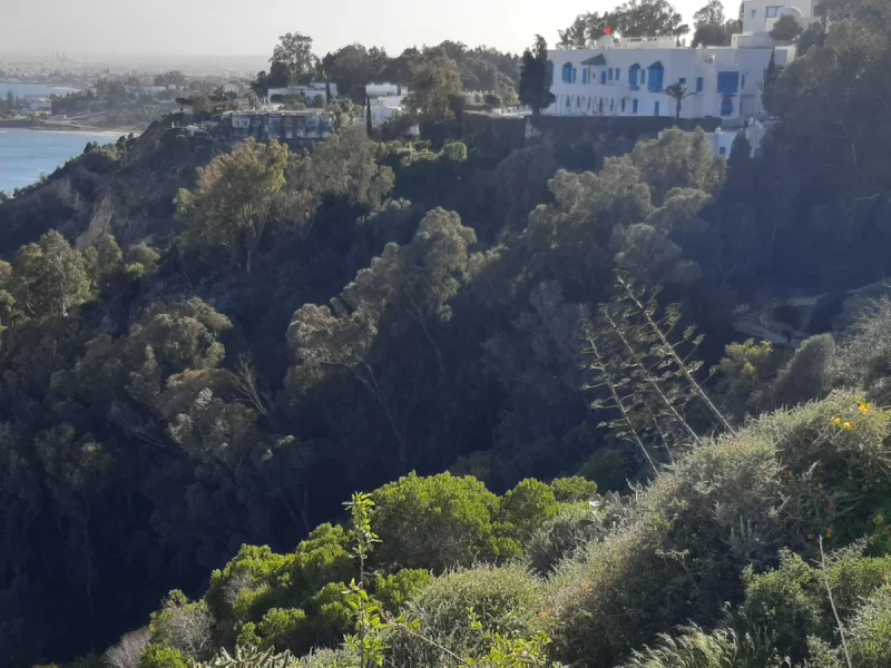 Studio des Délices - Photo 4