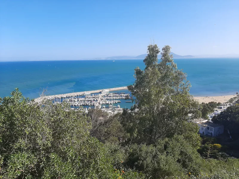 Studio des Délices - Photo 5