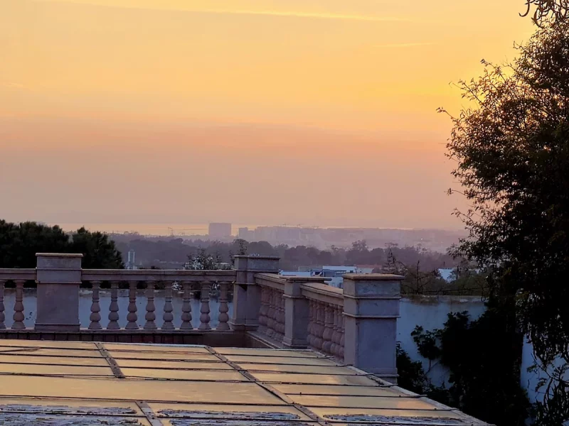 Le Palais Azuréen - Photo 16
