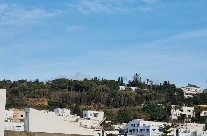 Le Tunisois de Sidi Bousaid idéalement situé - Photo 7