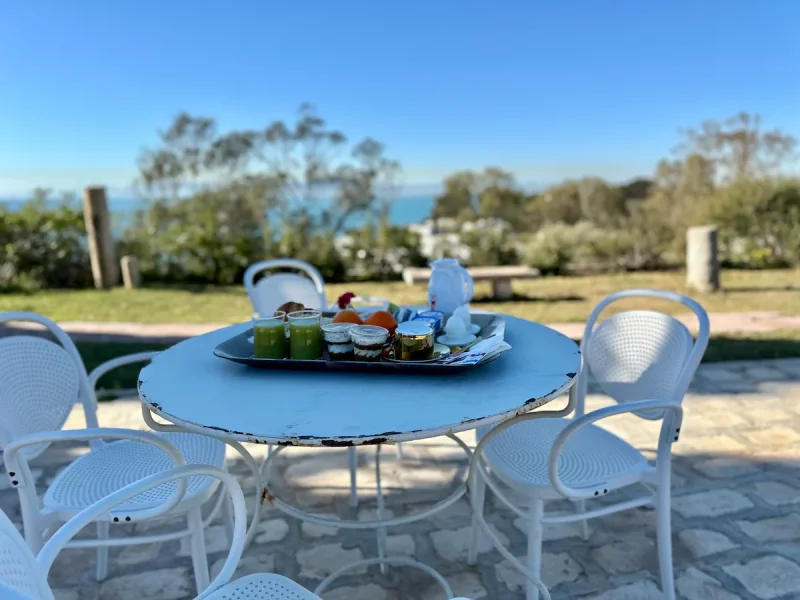 Lella Zohra, petit déjeuner et piscine  Sidi Bou Said - Photo 12