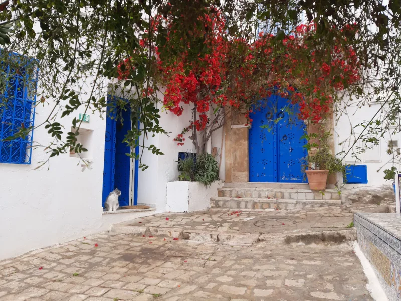Petite place des artistes - Photo 8