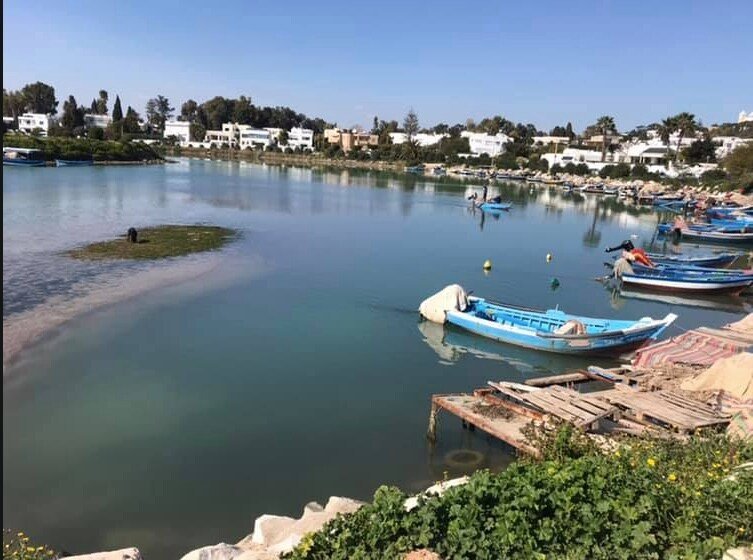 Studio au coeur du site archéologique de Carthage - Photo 29