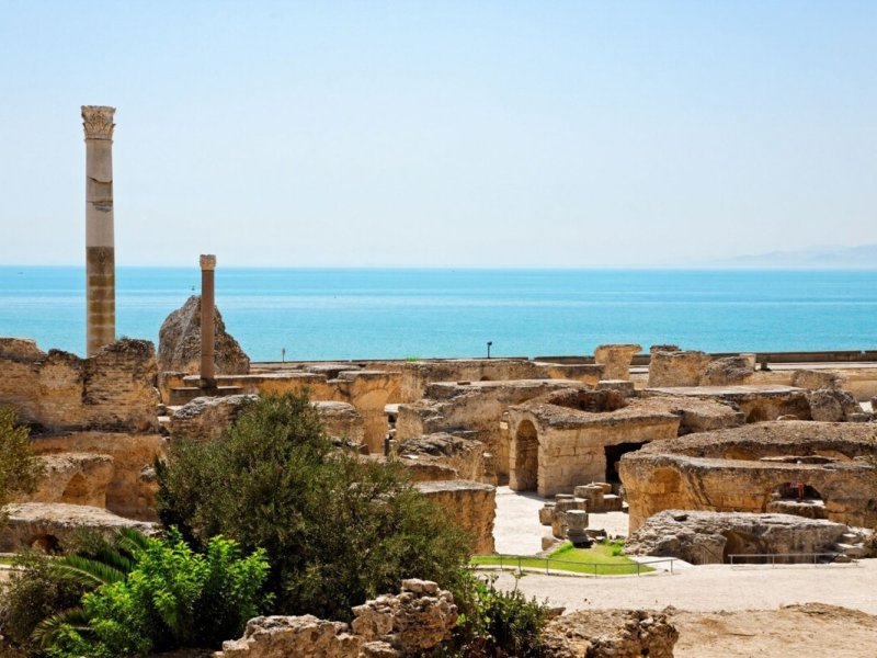 Studio au coeur du site archéologique de Carthage - Photo 31