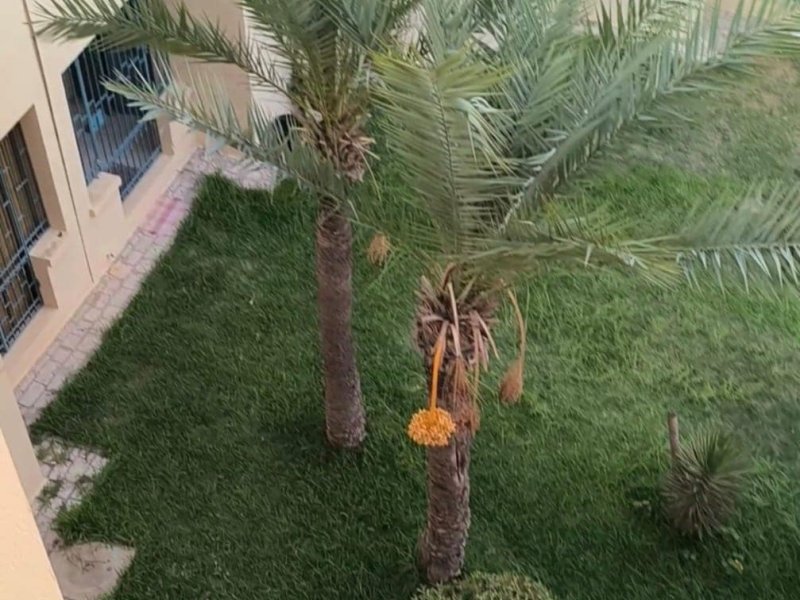 Appartement Yasmine Hammamet - Photo 10