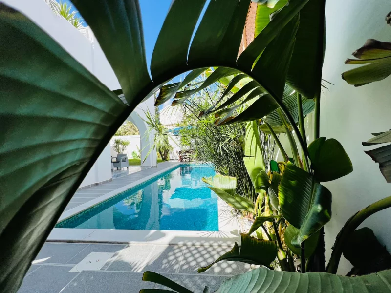 Belle maison avec belle piscine/très proche de la mer - Photo 116