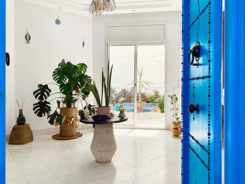 Vue sur les toits de Sidi Bou Said - Photo 5