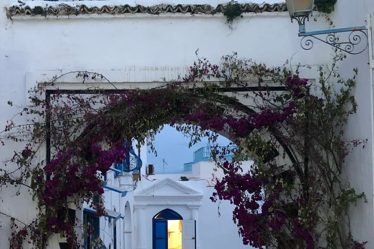 La terrasse aux souvenirs - Photo principale