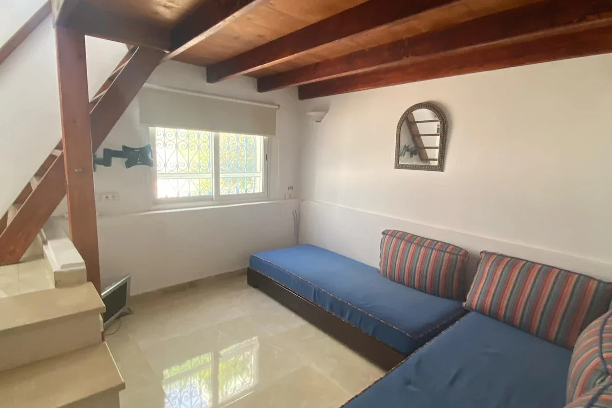 Magnifique S+1 - Photo principale