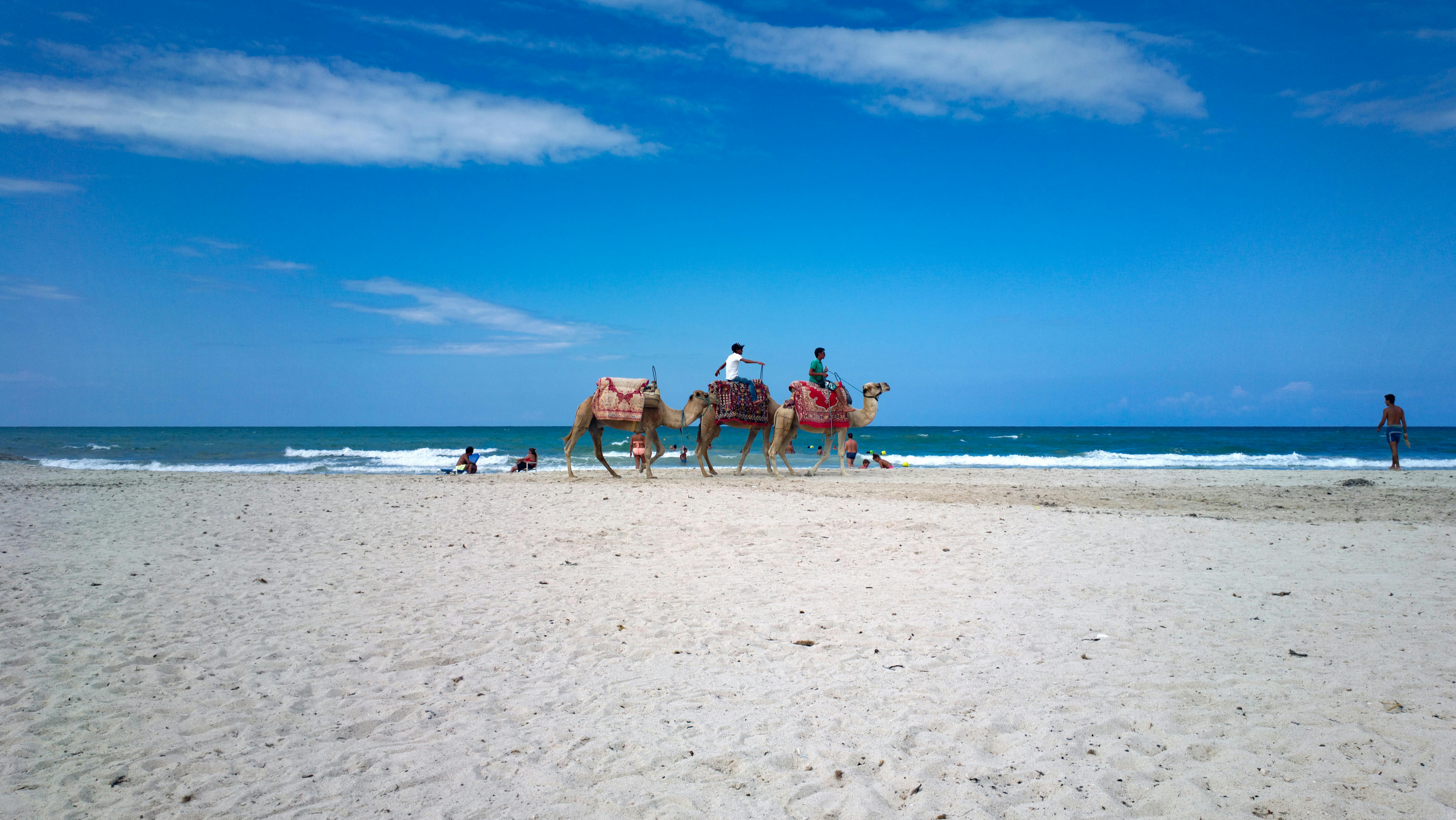 Meilleure période pour visiter la Tunisie selon vos envies