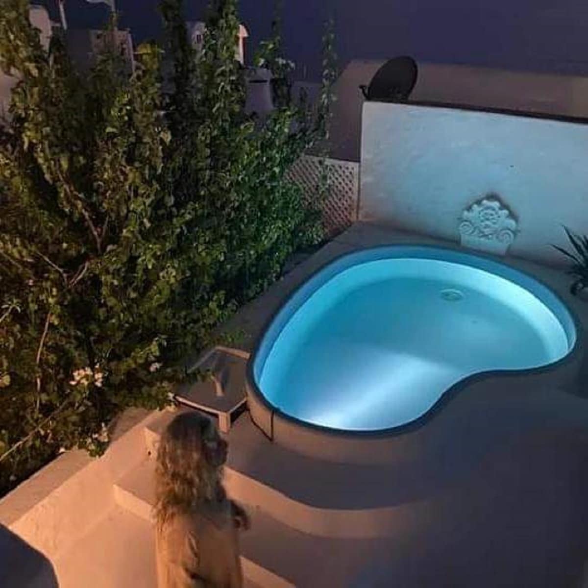 Maison Les Cyprès (DarEsarwel)