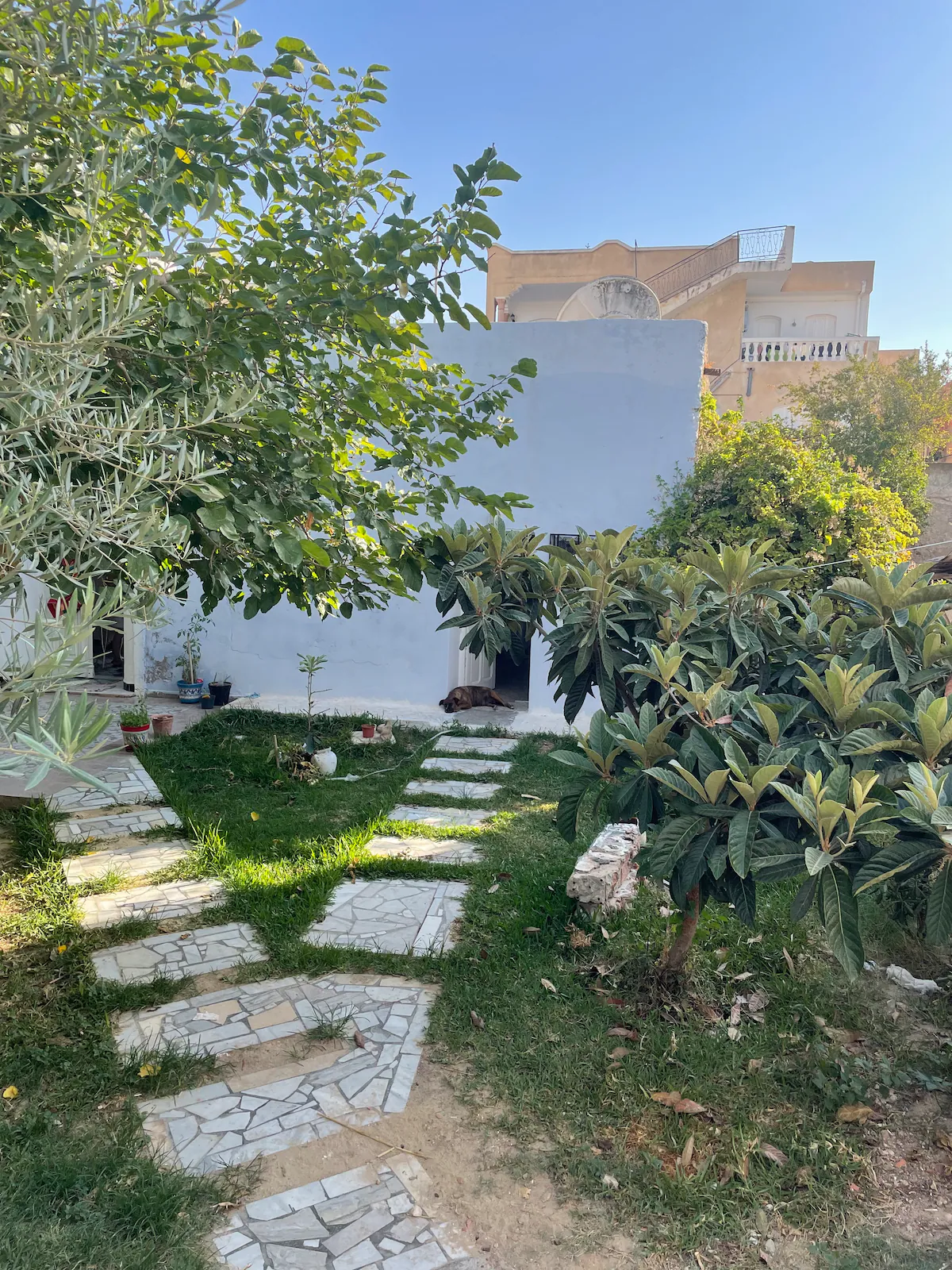 Studio s+1 climatisée hammamet