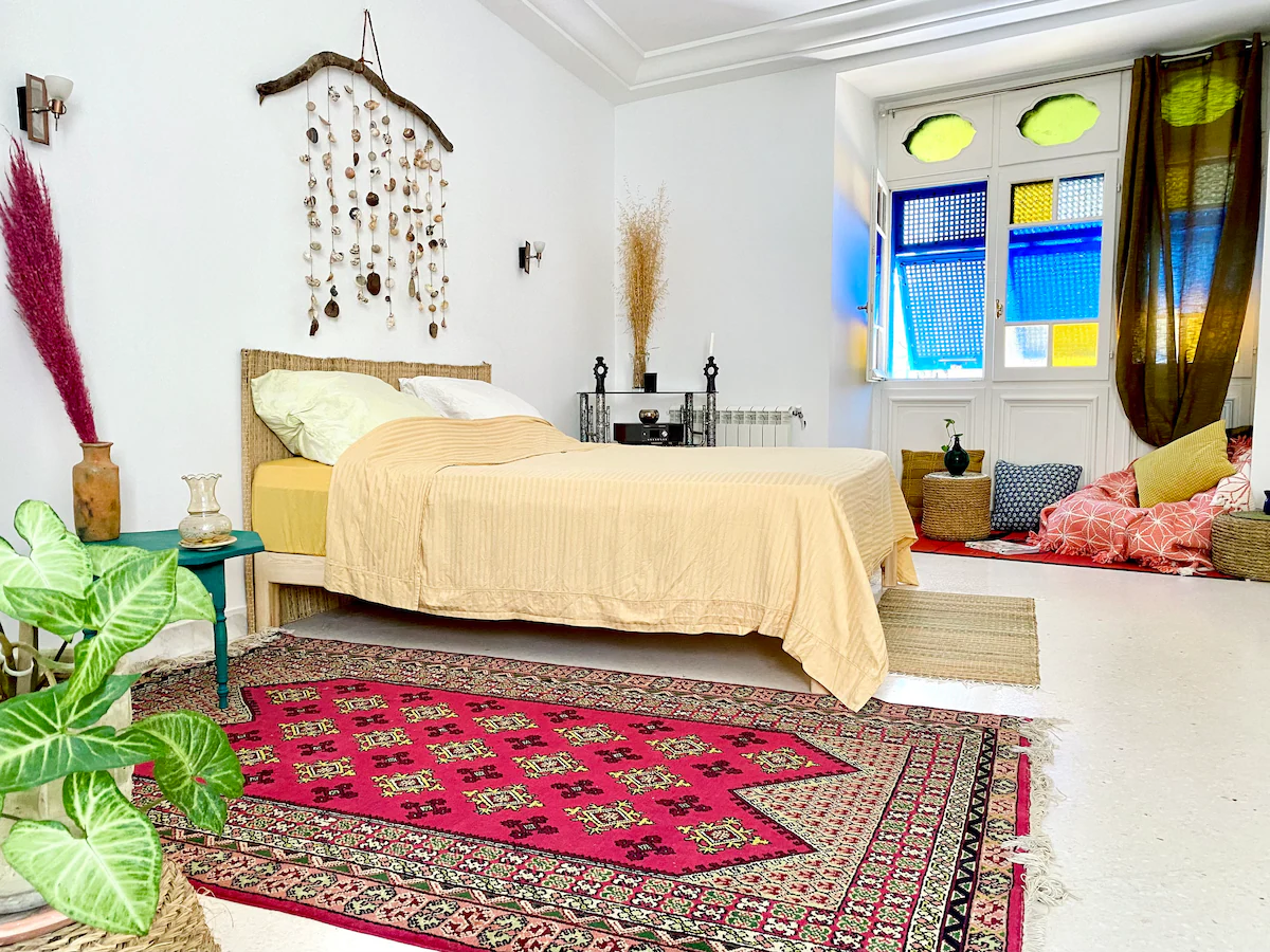 Vue sur les toits de Sidi Bou Said